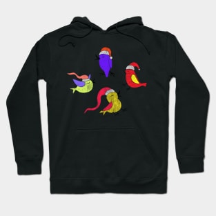 Bird Christmas Gifts Hoodie